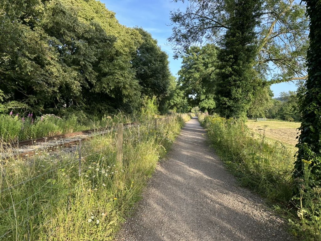 A railway track on the left with a gravel path to the right with trees and fields. This is part of the White Peak Loop which is on the route of Walk 1 of our Walks around Darley Dale